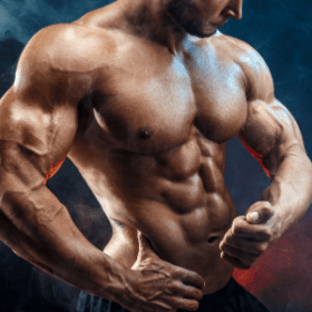 Muscle